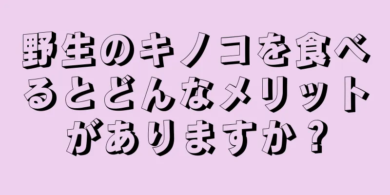 野生のキノコを食べるとどんなメリットがありますか？
