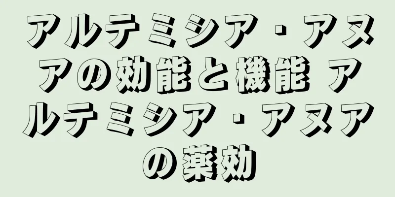 アルテミシア・アヌアの効能と機能 アルテミシア・アヌアの薬効