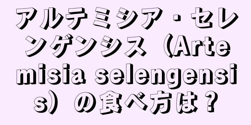 アルテミシア・セレンゲンシス（Artemisia selengensis）の食べ方は？