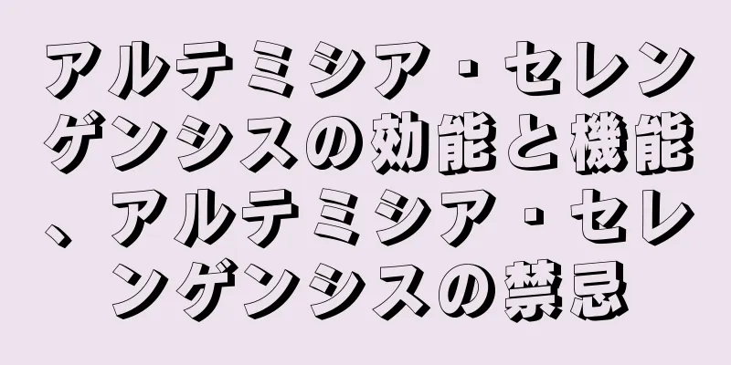 アルテミシア・セレンゲンシスの効能と機能、アルテミシア・セレンゲンシスの禁忌
