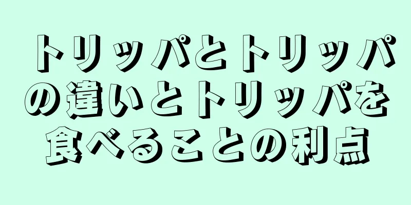 トリッパとトリッパの違いとトリッパを食べることの利点