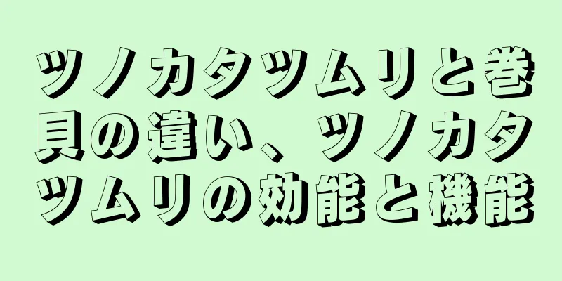 ツノカタツムリと巻貝の違い、ツノカタツムリの効能と機能