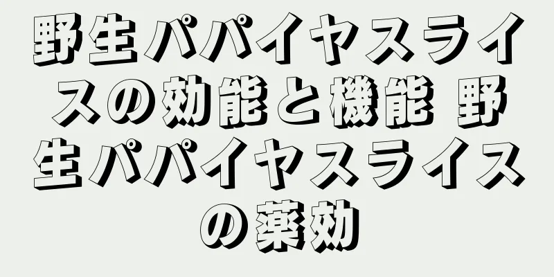 野生パパイヤスライスの効能と機能 野生パパイヤスライスの薬効