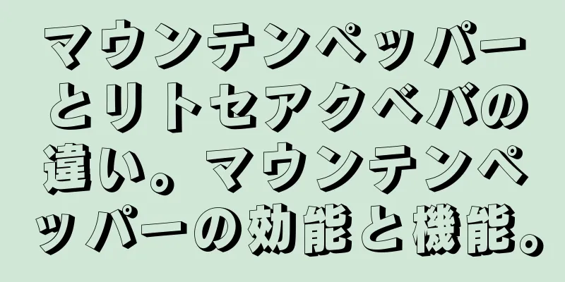 マウンテンペッパーとリトセアクベバの違い。マウンテンペッパーの効能と機能。
