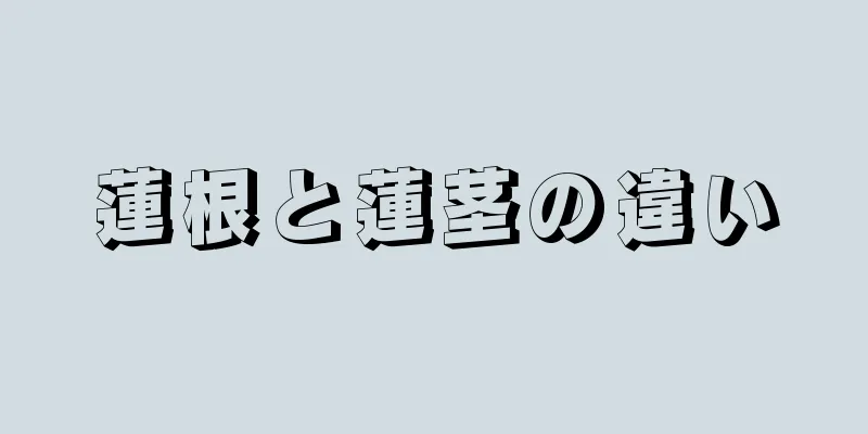 蓮根と蓮茎の違い