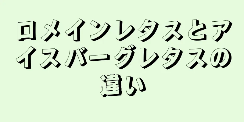ロメインレタスとアイスバーグレタスの違い
