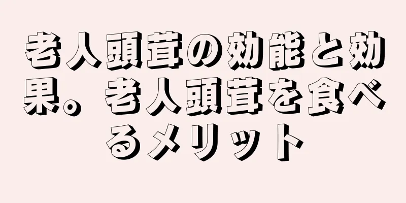 老人頭茸の効能と効果。老人頭茸を食べるメリット