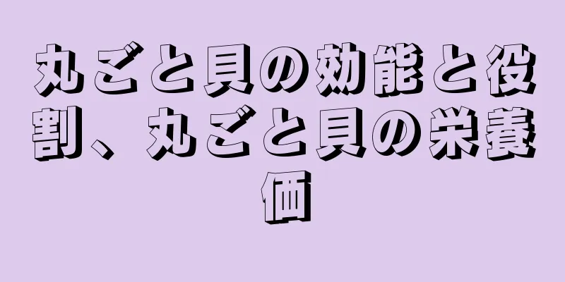 丸ごと貝の効能と役割、丸ごと貝の栄養価