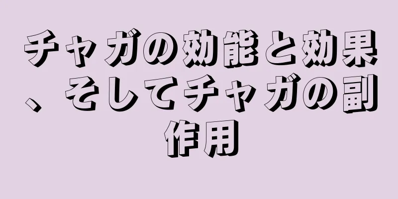 チャガの効能と効果、そしてチャガの副作用