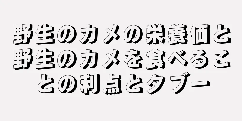 野生のカメの栄養価と野生のカメを食べることの利点とタブー
