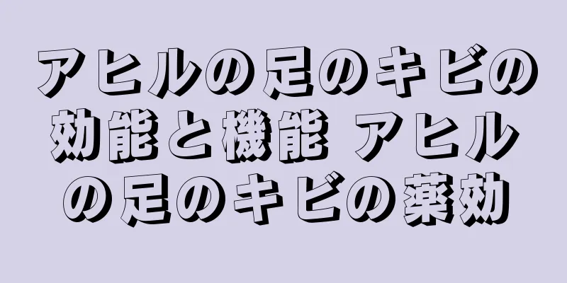 アヒルの足のキビの効能と機能 アヒルの足のキビの薬効