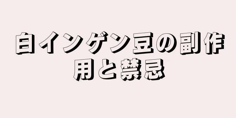 白インゲン豆の副作用と禁忌
