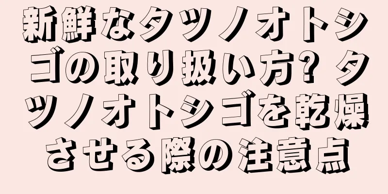 新鮮なタツノオトシゴの取り扱い方? タツノオトシゴを乾燥させる際の注意点