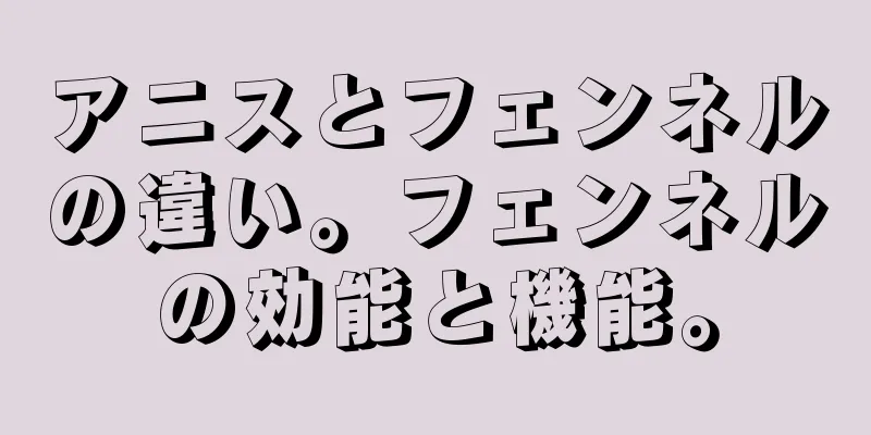アニスとフェンネルの違い。フェンネルの効能と機能。