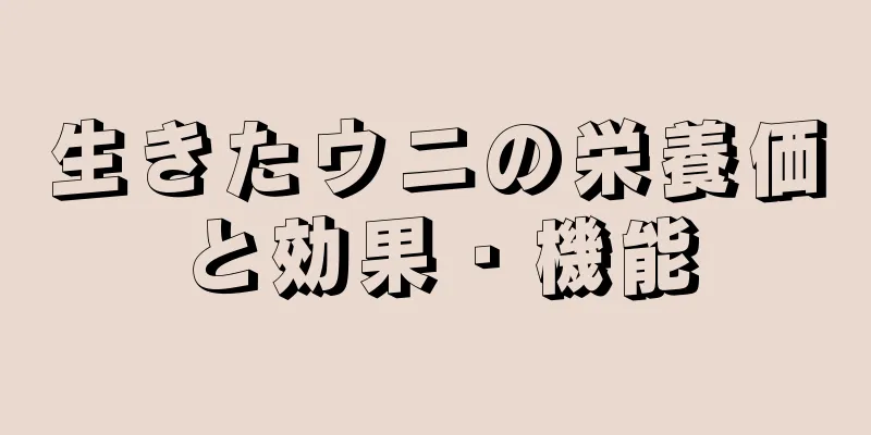 生きたウニの栄養価と効果・機能