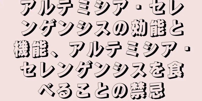 アルテミシア・セレンゲンシスの効能と機能、アルテミシア・セレンゲンシスを食べることの禁忌