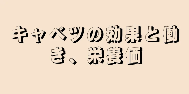 キャベツの効果と働き、栄養価