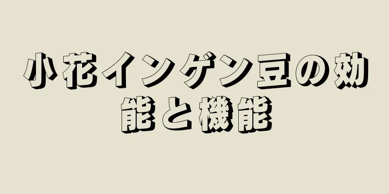 小花インゲン豆の効能と機能