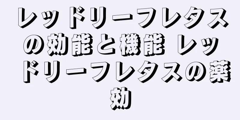 レッドリーフレタスの効能と機能 レッドリーフレタスの薬効