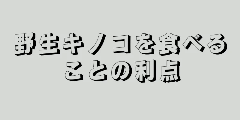 野生キノコを食べることの利点