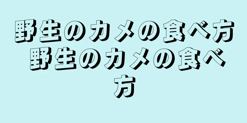 野生のカメの食べ方 野生のカメの食べ方