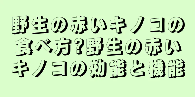 野生の赤いキノコの食べ方?野生の赤いキノコの効能と機能
