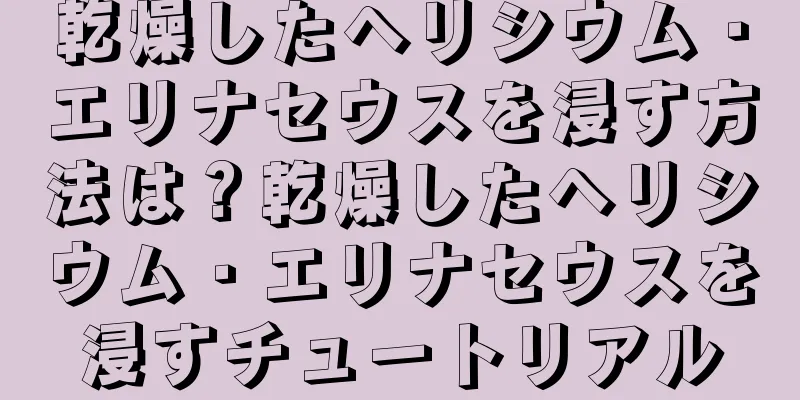 乾燥したヘリシウム・エリナセウスを浸す方法は？乾燥したヘリシウム・エリナセウスを浸すチュートリアル