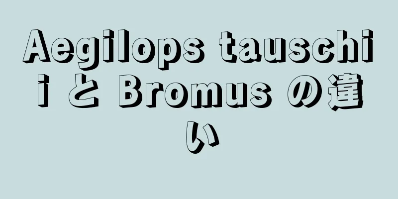 Aegilops tauschii と Bromus の違い