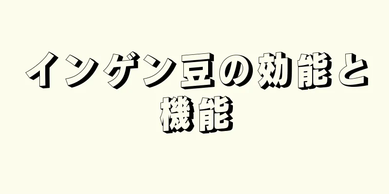 インゲン豆の効能と機能
