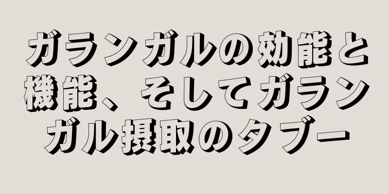 ガランガルの効能と機能、そしてガランガル摂取のタブー
