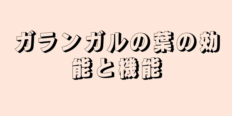 ガランガルの葉の効能と機能