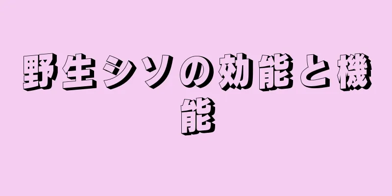 野生シソの効能と機能