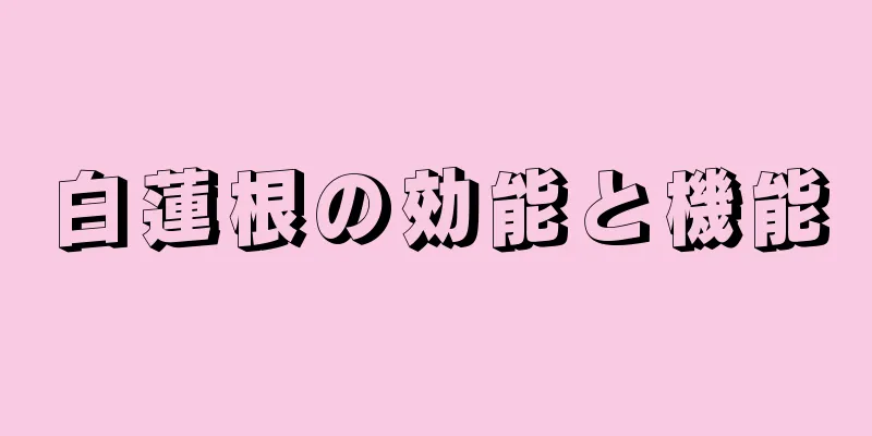 白蓮根の効能と機能