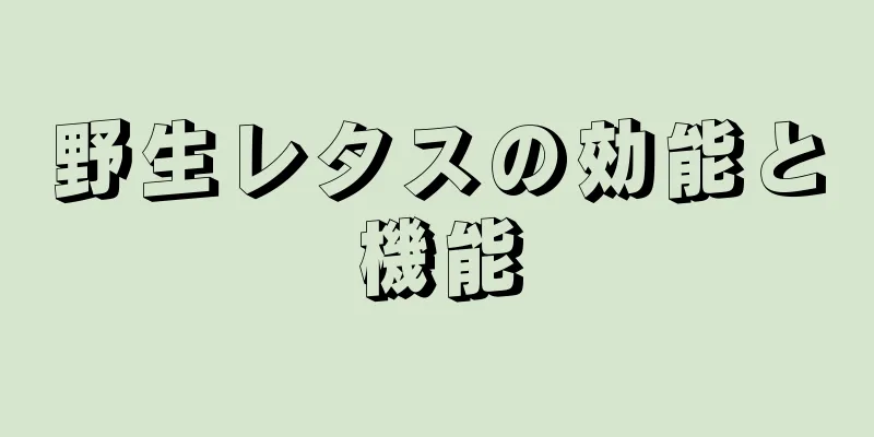 野生レタスの効能と機能
