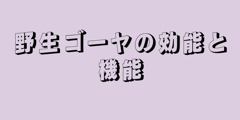 野生ゴーヤの効能と機能