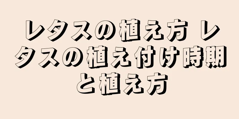 レタスの植え方 レタスの植え付け時期と植え方