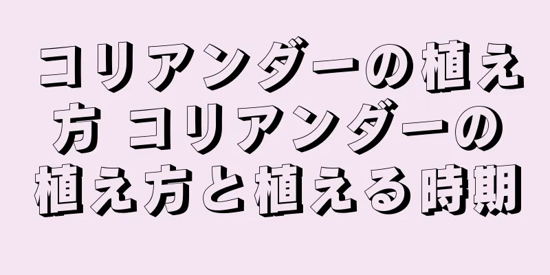 コリアンダーの植え方 コリアンダーの植え方と植える時期