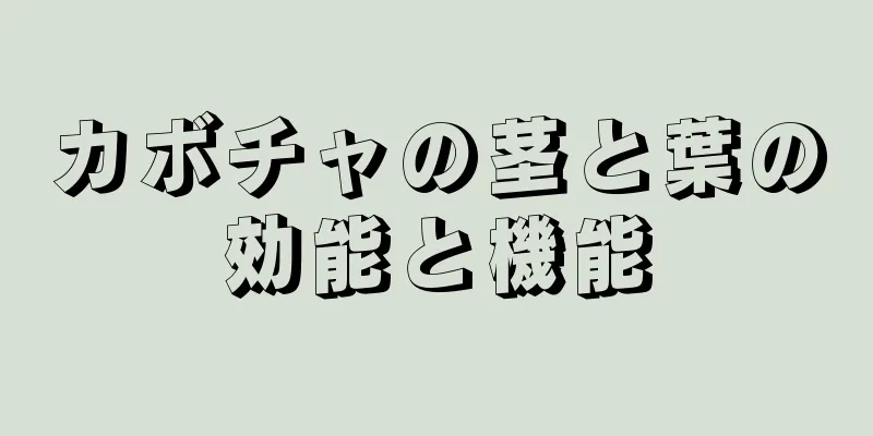 カボチャの茎と葉の効能と機能