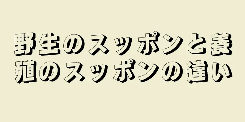 野生のスッポンと養殖のスッポンの違い