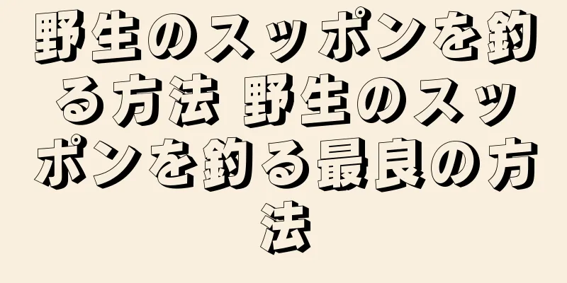 野生のスッポンを釣る方法 野生のスッポンを釣る最良の方法