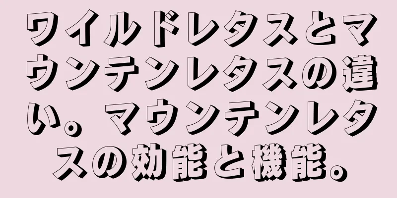 ワイルドレタスとマウンテンレタスの違い。マウンテンレタスの効能と機能。