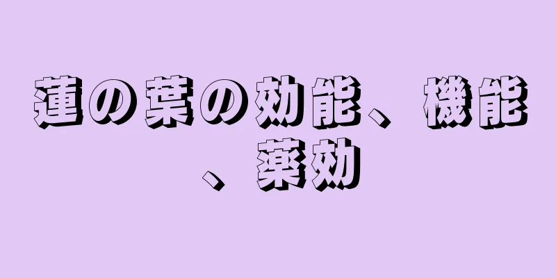 蓮の葉の効能、機能、薬効