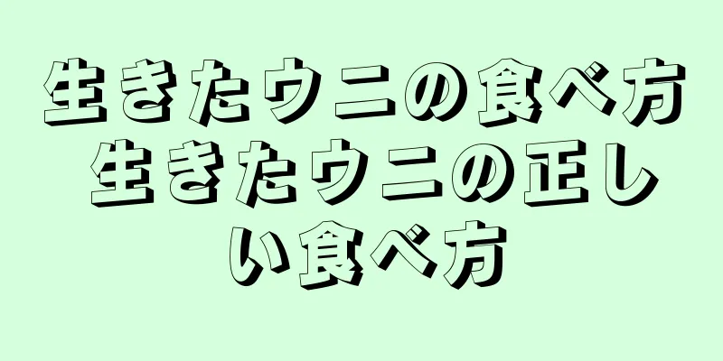 生きたウニの食べ方 生きたウニの正しい食べ方