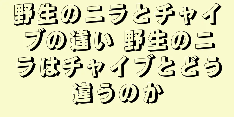 野生のニラとチャイブの違い 野生のニラはチャイブとどう違うのか