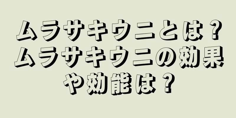 ムラサキウニとは？ムラサキウニの効果や効能は？