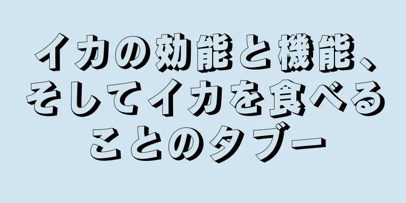 イカの効能と機能、そしてイカを食べることのタブー