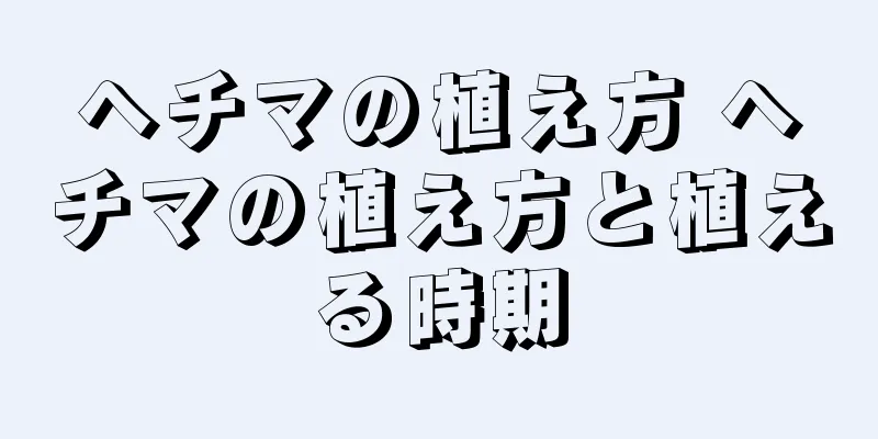 ヘチマの植え方 ヘチマの植え方と植える時期