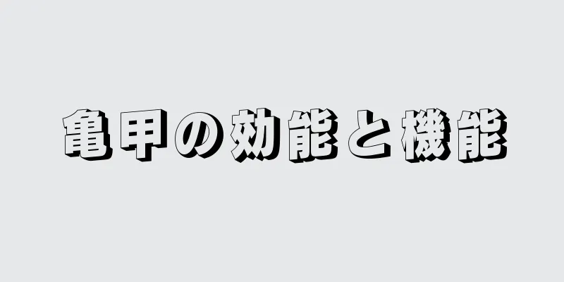 亀甲の効能と機能