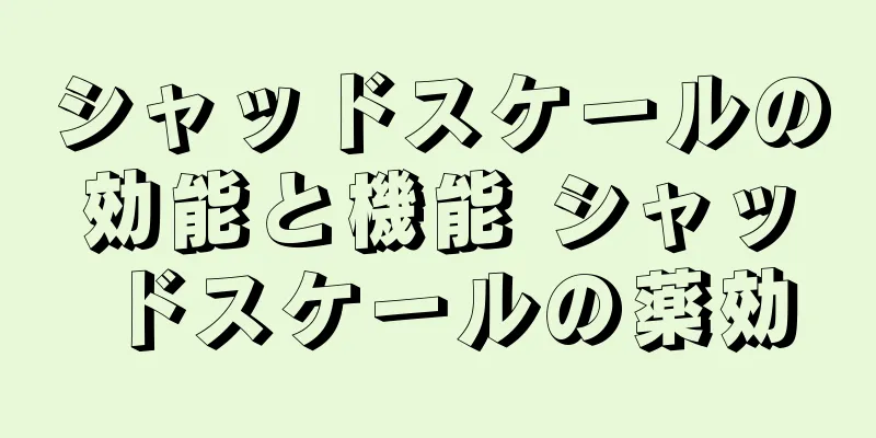 シャッドスケールの効能と機能 シャッドスケールの薬効