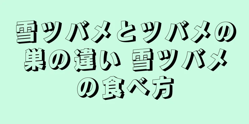 雪ツバメとツバメの巣の違い 雪ツバメの食べ方